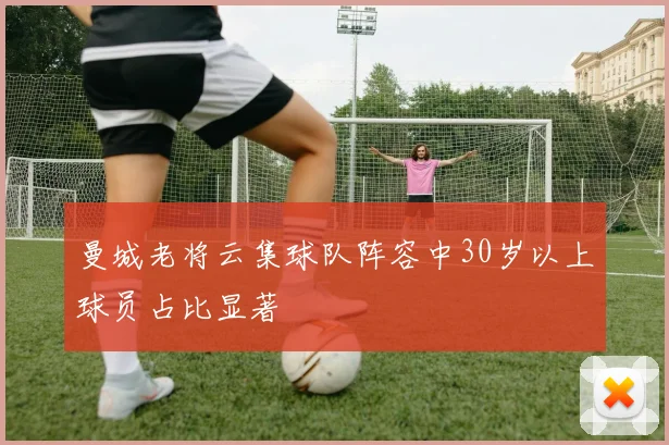 曼城老将云集球队阵容中30岁以上球员占比显著